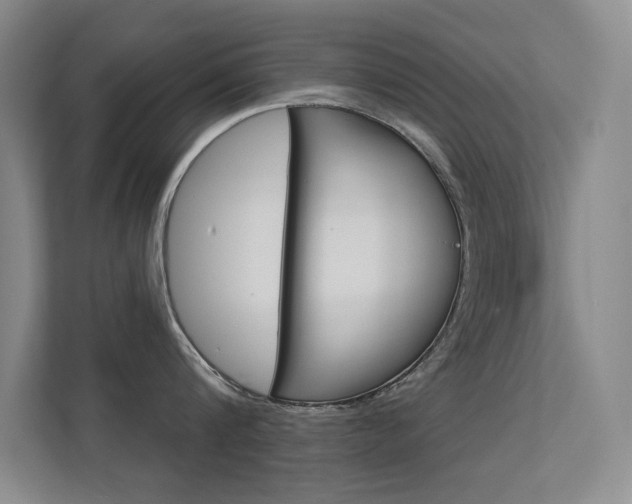 X0000112390816200908131342