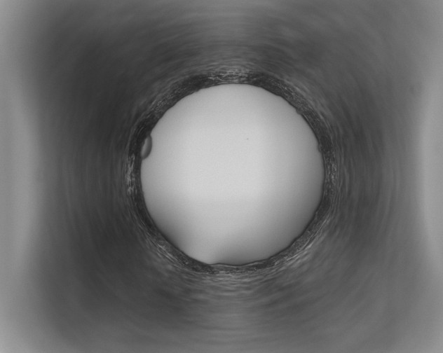 X0000112390818200908131342