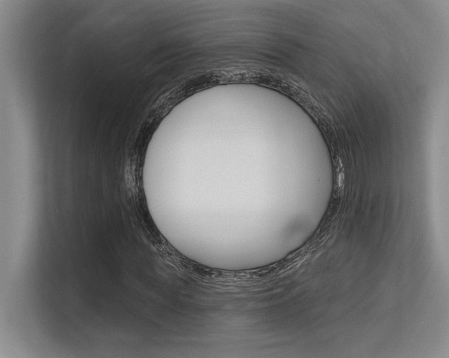X0000112390819200908131342