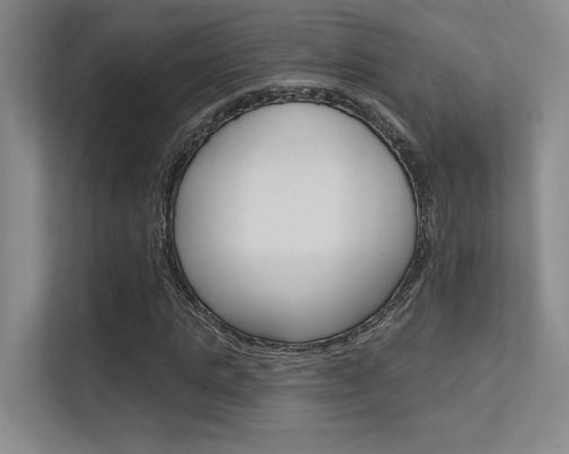 X0000112390821200908131342