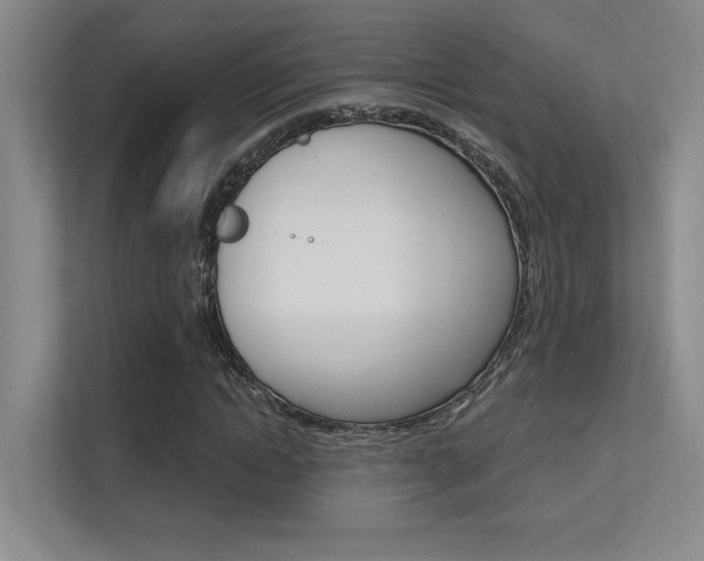 X0000112390822200908131342