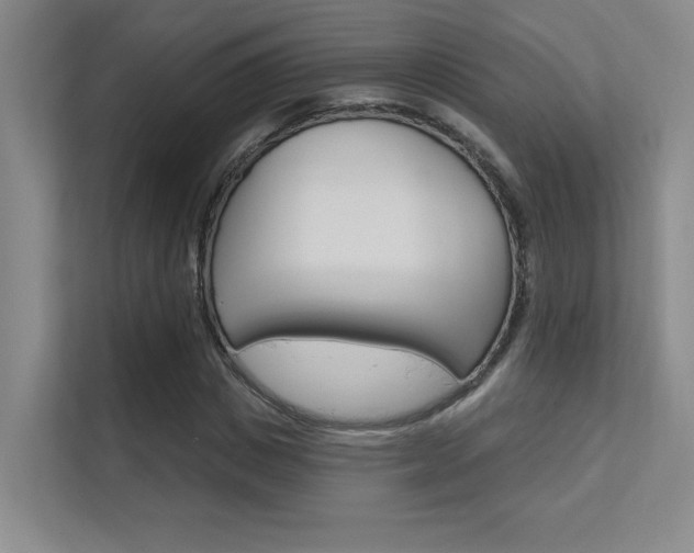 X0000112390825200908131342