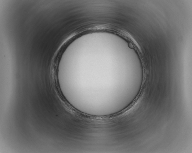 X0000112390827200908131342