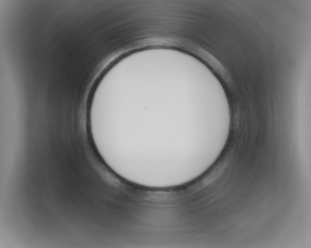 X0000112390836200908131342