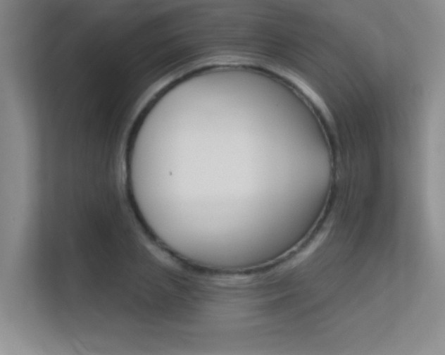 X0000112390837200908131342