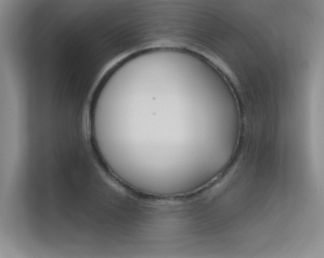 X0000112390838200908131342