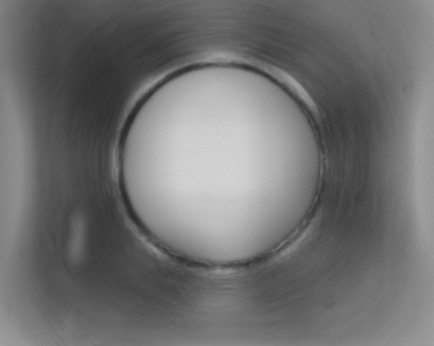 X0000112390839200908131342