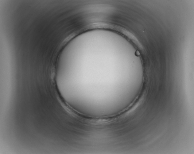 X0000112390841200908131342
