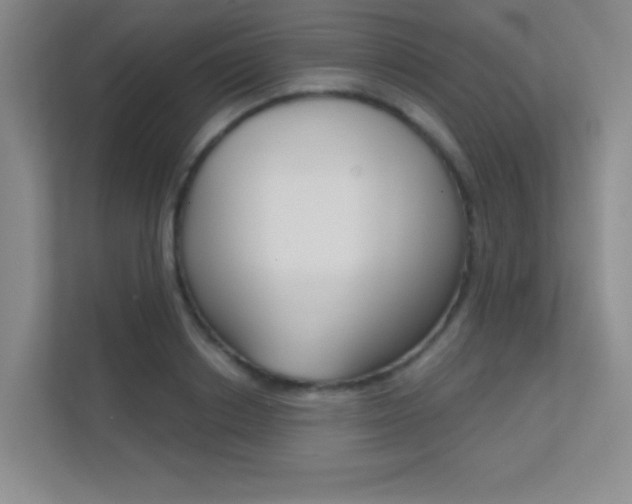 X0000112390842200908131342