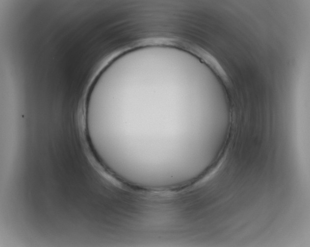 X0000112390844200908131342