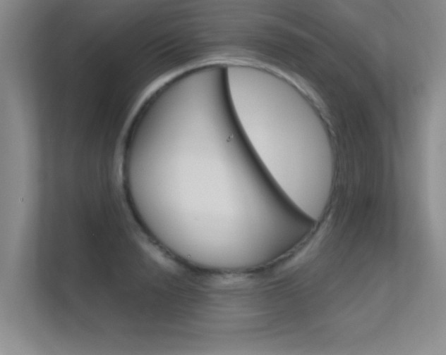 X0000112390846200908131342