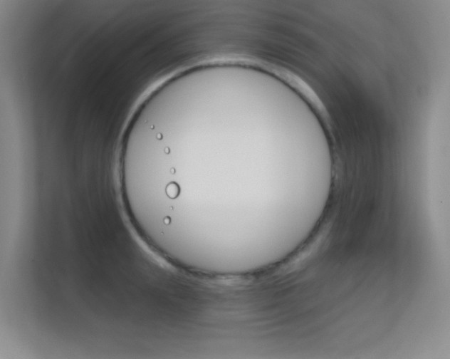 X0000112390847200908131342