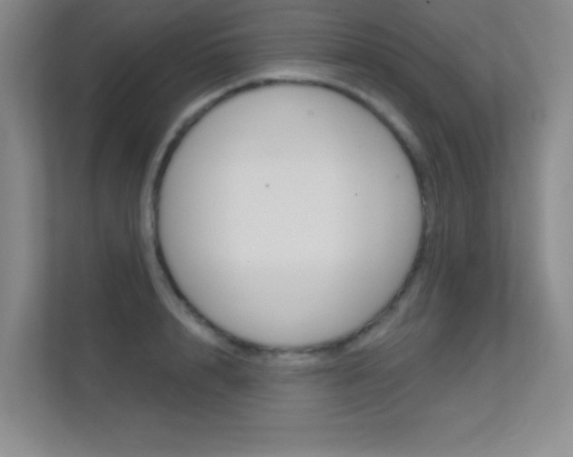 X0000112390848200908131342