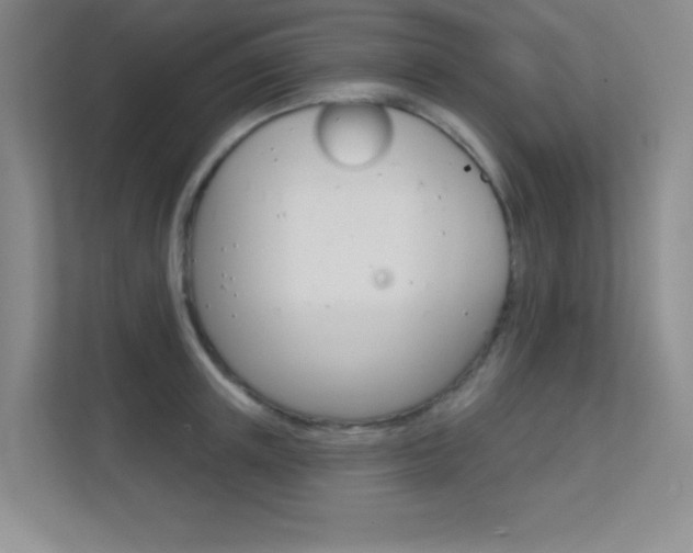 X0000112390851200908131342
