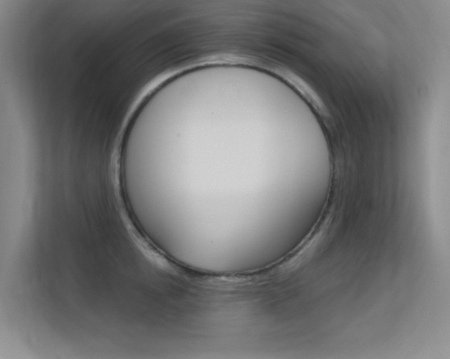 X0000112390854200908131342