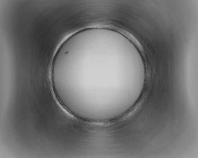 X0000112390855200908131342