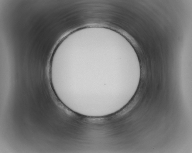 X0000112390856200908131342