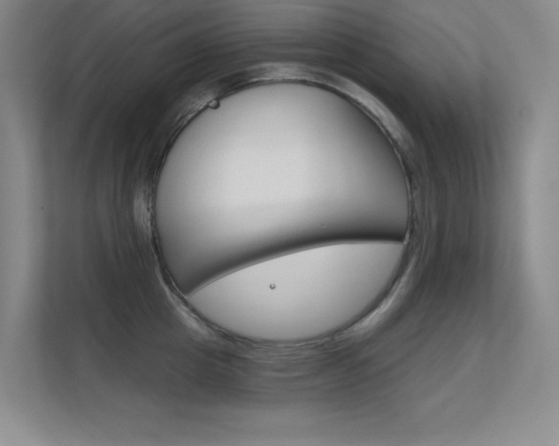 X0000112390857200908131342