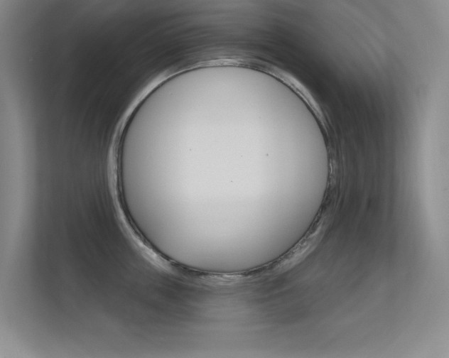 X0000112390859200908131342