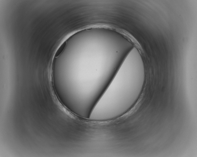 X0000112390860200908131342