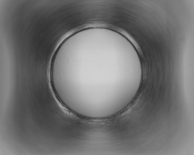 X0000112390861200908131342