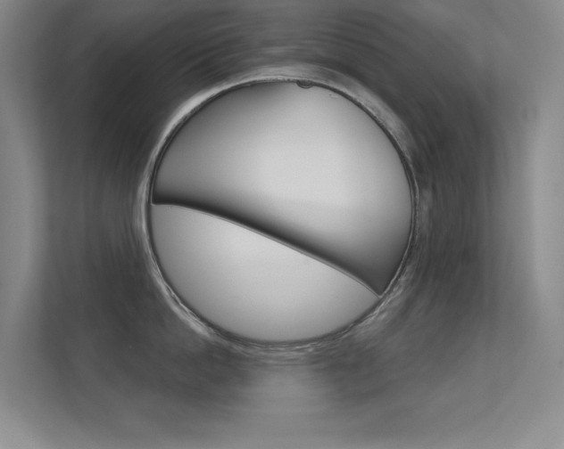 X0000112390862200908131342