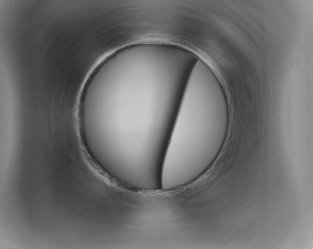 X0000112390864200908131342