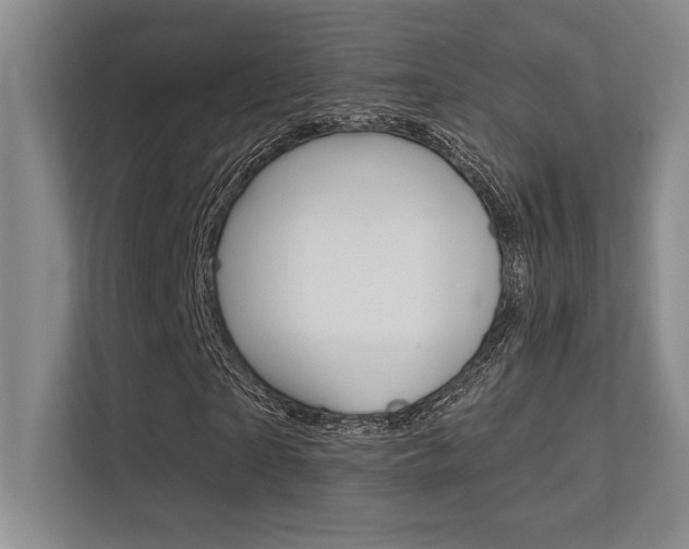 X0000112390865200908131342