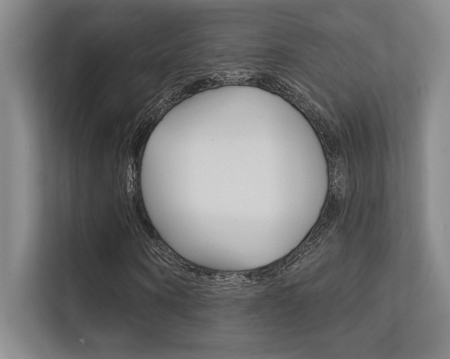 X0000112390866200908131342