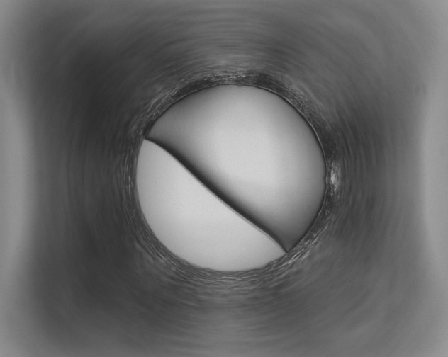 X0000112390867200908131342