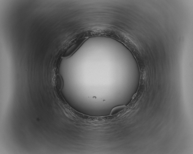 X0000112390868200908131342