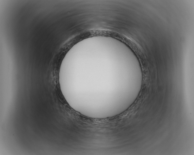 X0000112390870200908131342