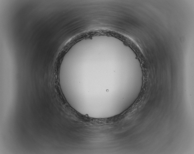 X0000112390871200908131342