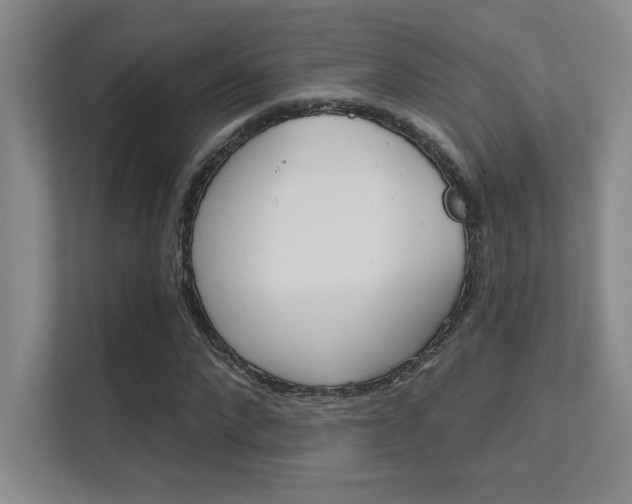 X0000112390872200908131342
