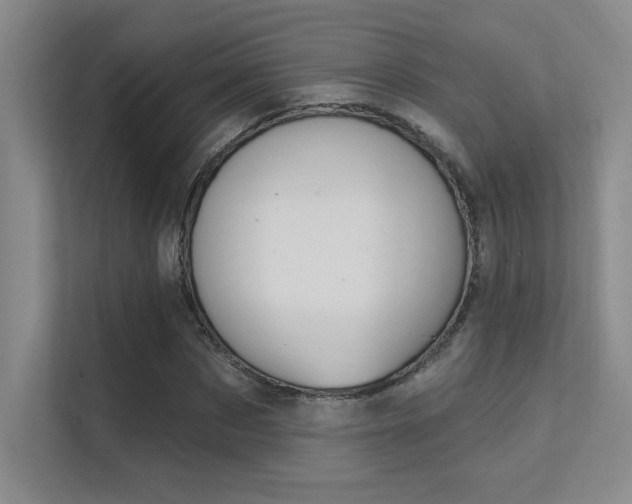 X0000112390873200908131342