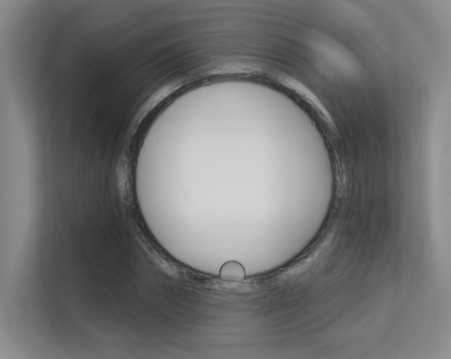 X0000112390874200908131342
