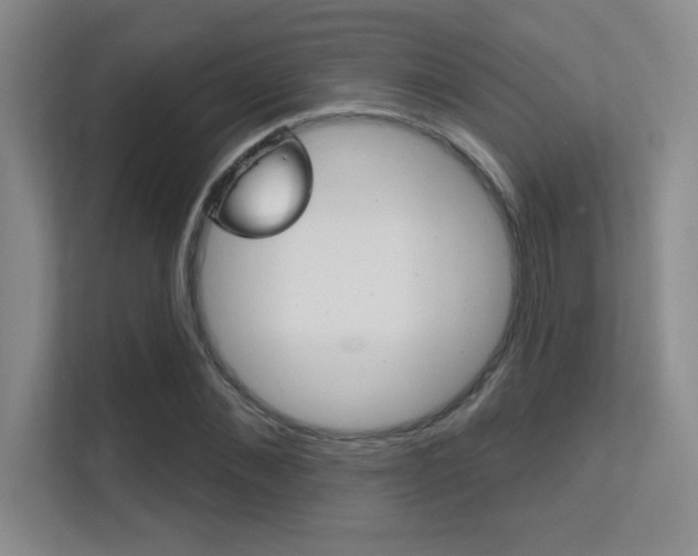 X0000112390876200908131342