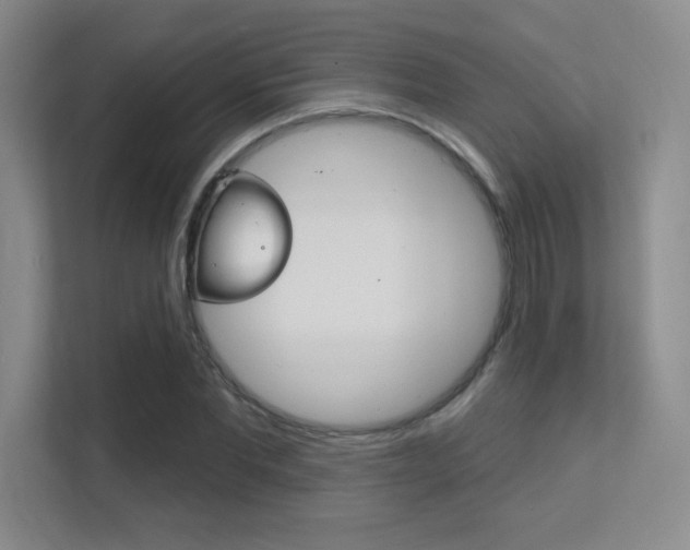 X0000112390877200908131342