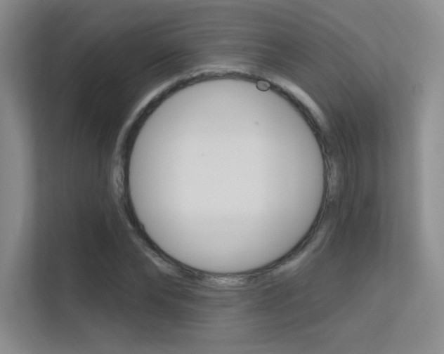 X0000112390878200908131341
