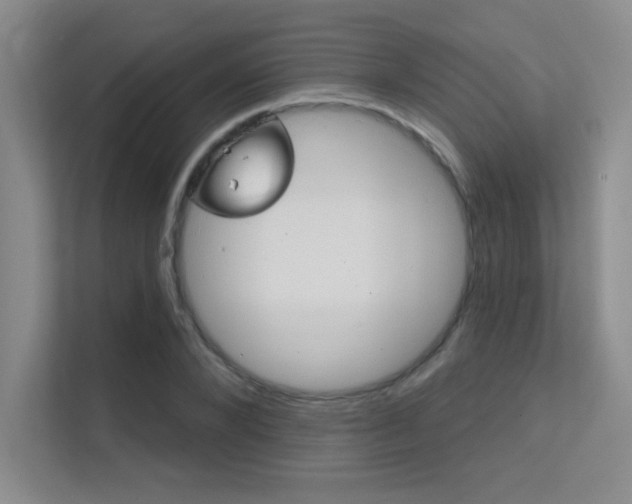 X0000112390880200908131341