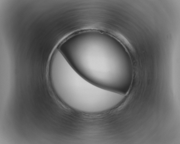 X0000112390884200908131341