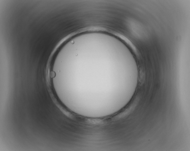 X0000112390886200908131341