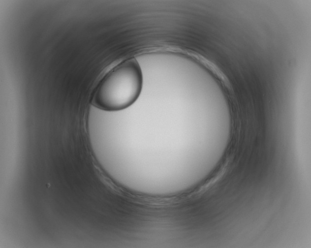 X0000112390889200908131341