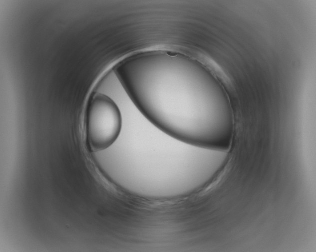 X0000112390892200908131341