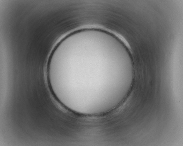 X0000112390895200908131341