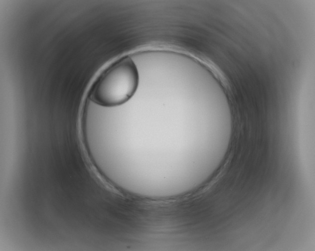 X0000112390896200908131341