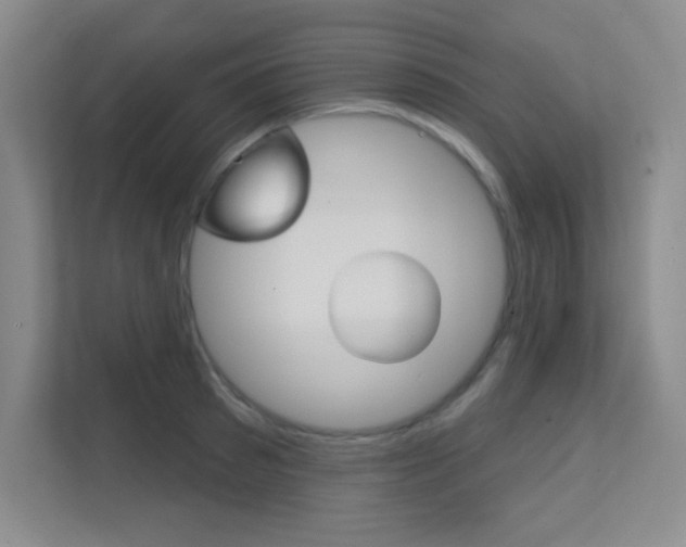 X0000112390897200908131341