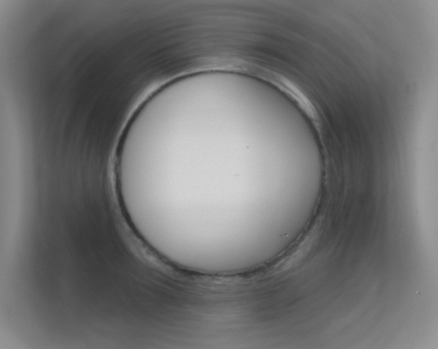 X0000112390899200908131341