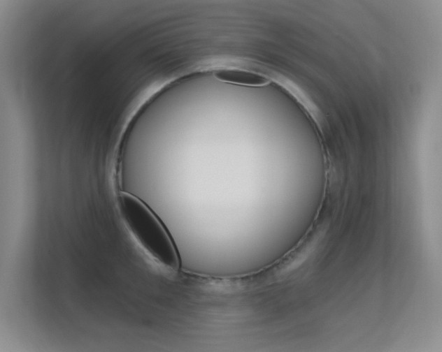 X0000112390901200908131341