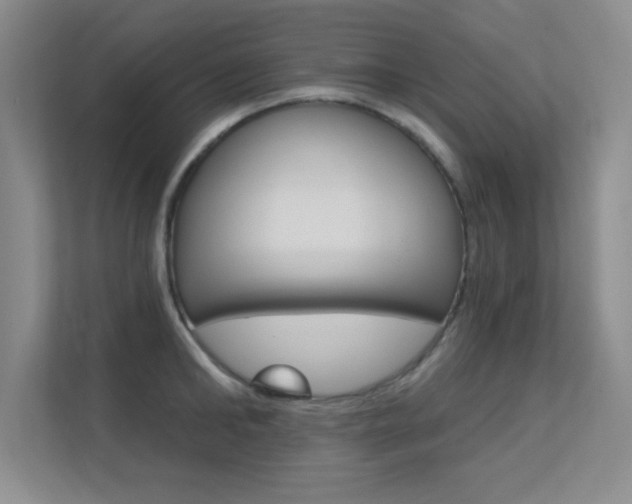 X0000112390902200908131341